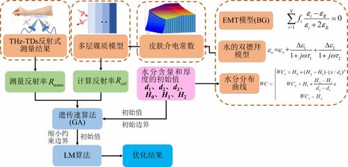 石溪大学应用数学与统计学-andStatistics「纽约州立大学石溪分校应用数学与统计