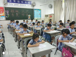 中英公学小学入学条件-深圳中英公学2021年报名条件、招生要求、招生对象