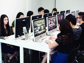 广州莱佛士设计学院学费-上海东华大学莱佛士国际设计学院一年学费是多少