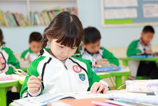 中黄国际黄埔小学收费标准-广州黄埔中黄外国语小学2021年学费、收费多少