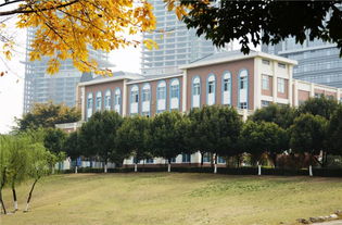 成都市美视国际学校-成都美视国际学校