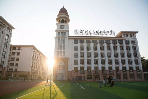 深圳市道尔顿新华公学-深圳道尔顿新华公学