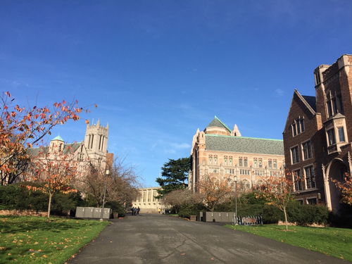 华盛顿私立学校-华盛顿特区的私立高中埃德蒙伯克学校