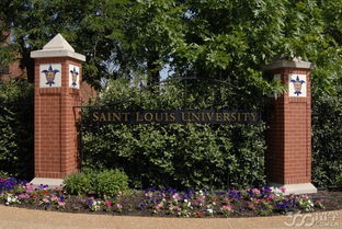 圣路易斯大学如何-圣路易斯大学怎么样
