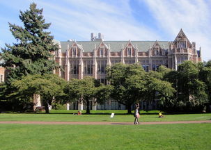 华盛顿哪个大学最好-纽约大学和华盛顿大学哪个好
