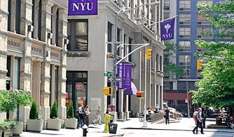 纽约大学金工金数哪个好-求比较哥大OR、哥大金数、芝加哥金数、nyu