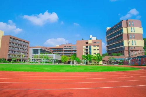 深圳鲸帆dse国际学校-鲸帆DSE国际学院简介