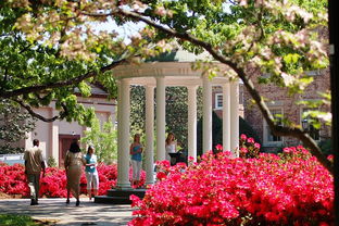 北加利福尼亚大学排名-美国加利福尼亚大学圣地亚哥分校世界排名第几