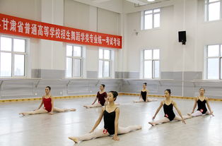 甘肃省内舞蹈学校考学校那些好-甘肃舞蹈专业院校排名