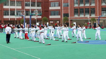 北京接受初中插班生的学校-北京哪些国际学校初中阶段接受插班生