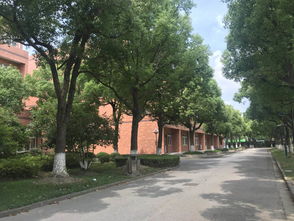 到上海蒙特奥利弗学校怎么走-上海蒙特奥利弗学校地址在哪里