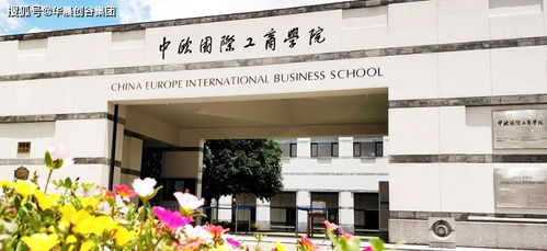 上海英创学院好不好-上海英创学院五大核心优势是什么
