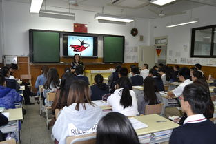 上海市卢湾高级中学教导处-上海卢湾高级中学