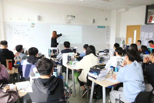 高二插班读国际高中-高二可以转北京国际高中吗