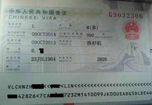 中国人去美国办什么签证-中国人去美国自助游