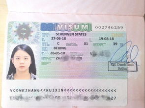 学生签证得自己办么-申请美国签证