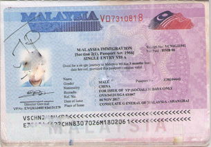 美国旅游签证大概需要多少钱-申请美国签证