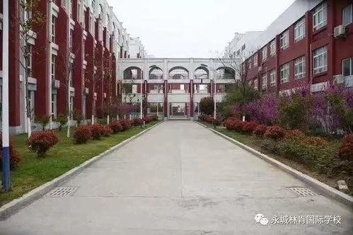 永城林肯高中升学率怎么样-永城市林肯国际学校