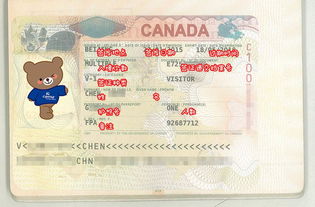 孩子如何办美国签证-申请美国签证
