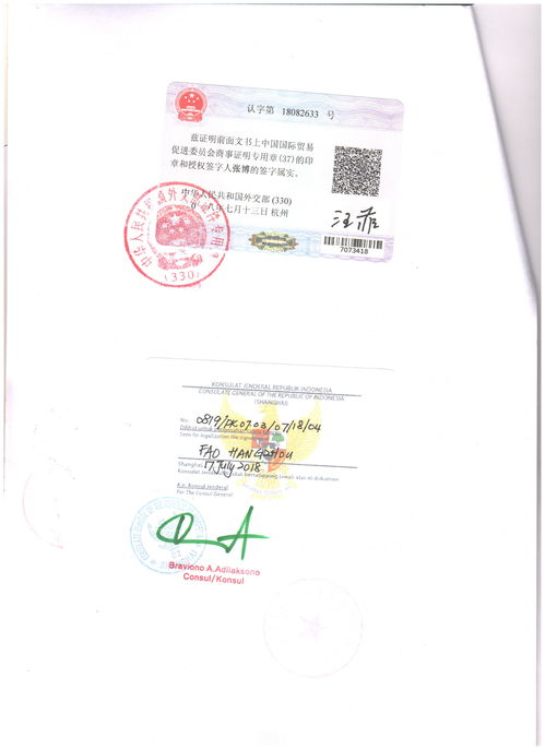 留学生大使馆认证-中国大使馆认证的学历和中国教育部认证学历的区别「环俄留