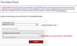 怎样查询美国签证状态-美国签证状态如何查询