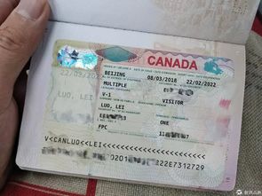 入境美国签证有效期-申请美国签证