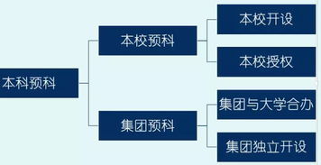 ucl预科高中成绩80-从预科到本科亲历实录