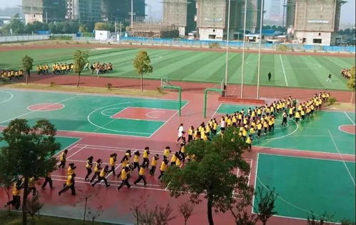 南京致远国际学校-南京贵族学校排名TOP10