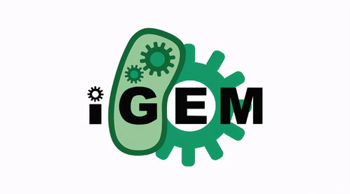 复旦2020igem-2020iGem报名截止日期延长过来人分享备赛心得