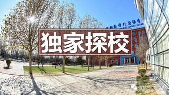 北京市新府学外国语学院招聘-北京市新府学外国语学校