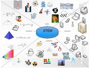 金融项目是stem吗-JHU的金融项目列为STEM项目