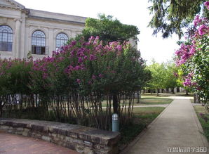 阿肯色大学商学院如何-美国阿肯色大学沃顿商学院申请