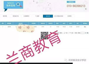 商业信息系统学什么-商业信息系统到底学什么