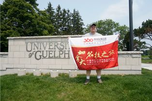 转学到圭尔夫大学的要求-2020年圭尔夫大学入学要求是什么