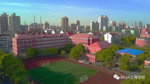 上海wlsa新竹园-WLSA新竹园2020秋季学期活动开启