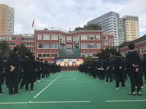 上海西南位育大学录取情况-上海市西南位育中学国际部升学率如何