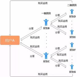 四中佳莲与四中哪年脱离关系-北京四中国际课程佳莲校区与四中关系