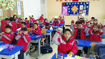 北京公立小学国际班-北京公立国际班一览表