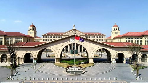 美达菲学校2020年高中-天津市南开区美达菲学校2020年国际初中