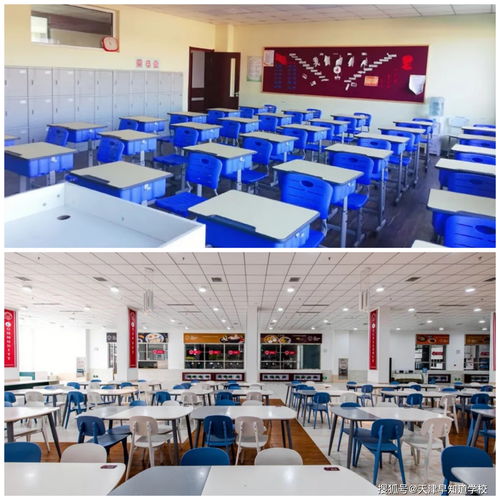 天津美达菲初中学费-2021天津美达菲国际学校学费标准