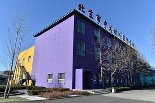 中关村外国语学校具体位置-北京中关村外国语学校国际部地址在哪里