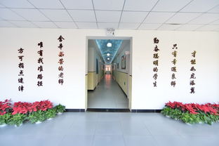 中关村外国语学校具体位置-北京中关村外国语学校国际部地址在哪里