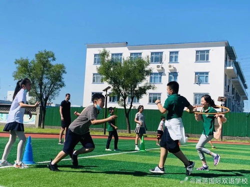 北京青苗国际幼儿园招聘信息-北京朝阳区青苗国际双语学校幼儿园简介