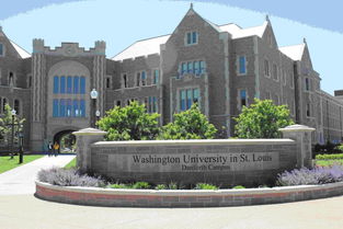 华盛顿圣路易斯转专业-请问华盛顿圣路易斯大学校内转学院难吗