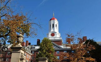 纽约大学与波士顿大学哪所更好-纽约大学和莱斯大学哪个好