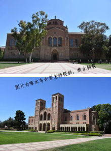 ucla和ucb经济系哪个好-A和UCB为什么很难同时录取