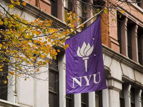 纽约大学三所分校-被美国东北大学\纽约大学\普渡大学