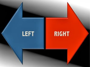 right and left handedness-雅思阅读高频文章