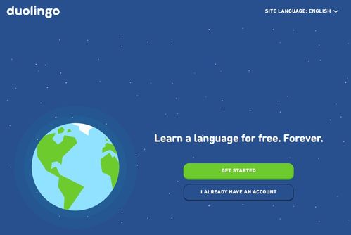 ucl正课接受多邻国-2020年哪些大学的语言班接受Duolingo