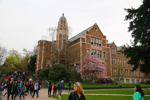 华盛顿的大学的排名-华盛顿大学美国大学排名及专业排名汇总(USNEWS美国大